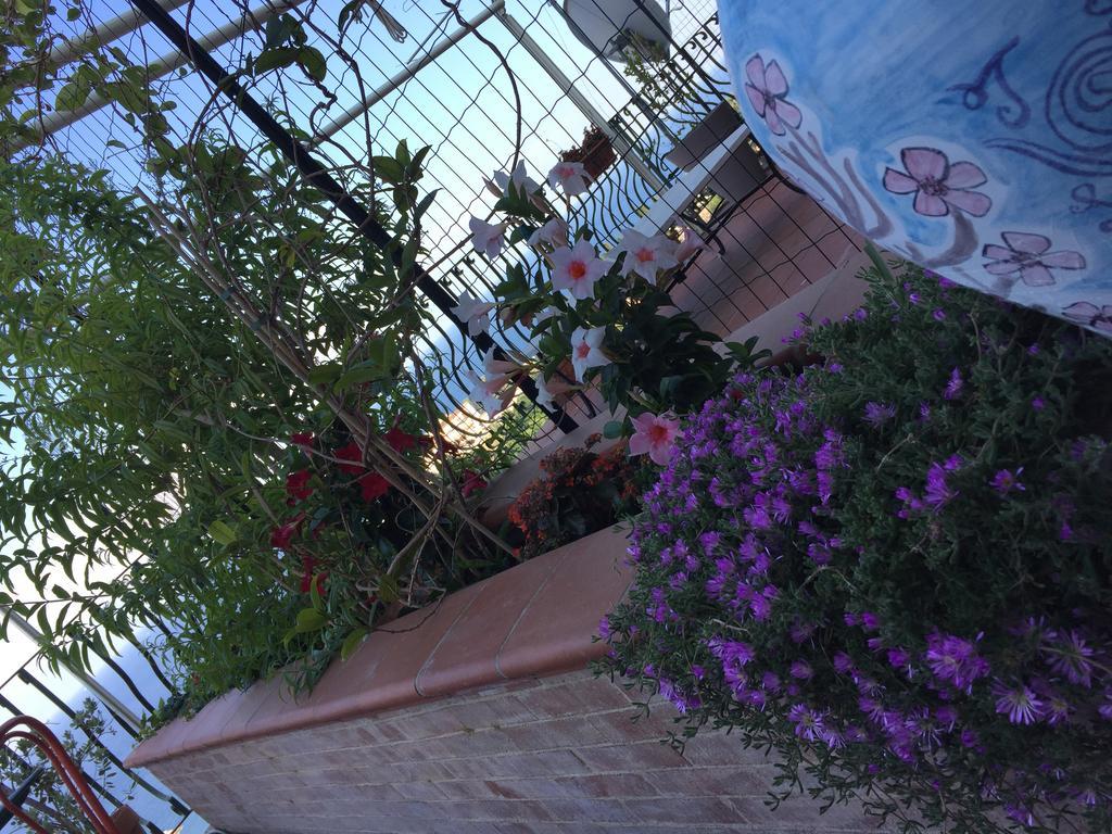 B&B La Terrazza Sul Mare Taormina Eksteriør billede
